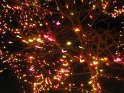 Toledo Zoo Lights 2008 012